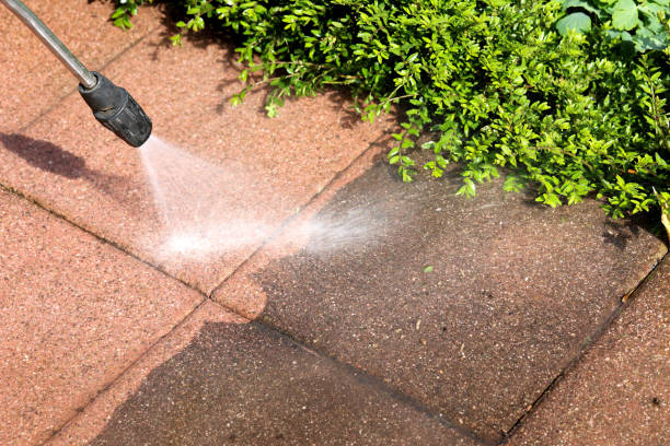 Best Roof Pressure Washing  in Crosby, ND